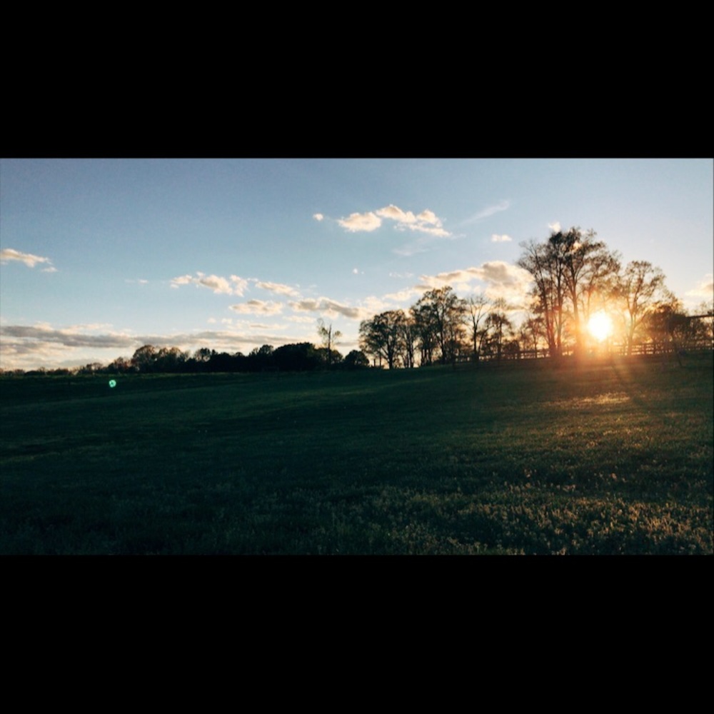 Meet your Posher, Ava